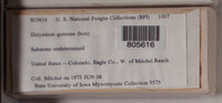 Image Associated With the Occurence